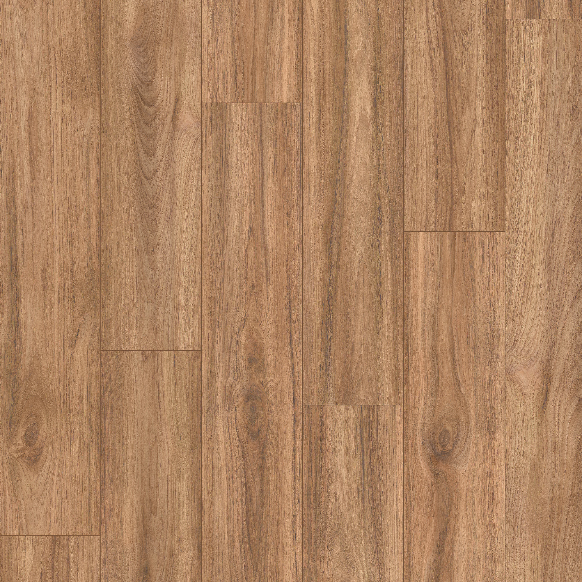 Meister LD200 Multiclic Teak 07145