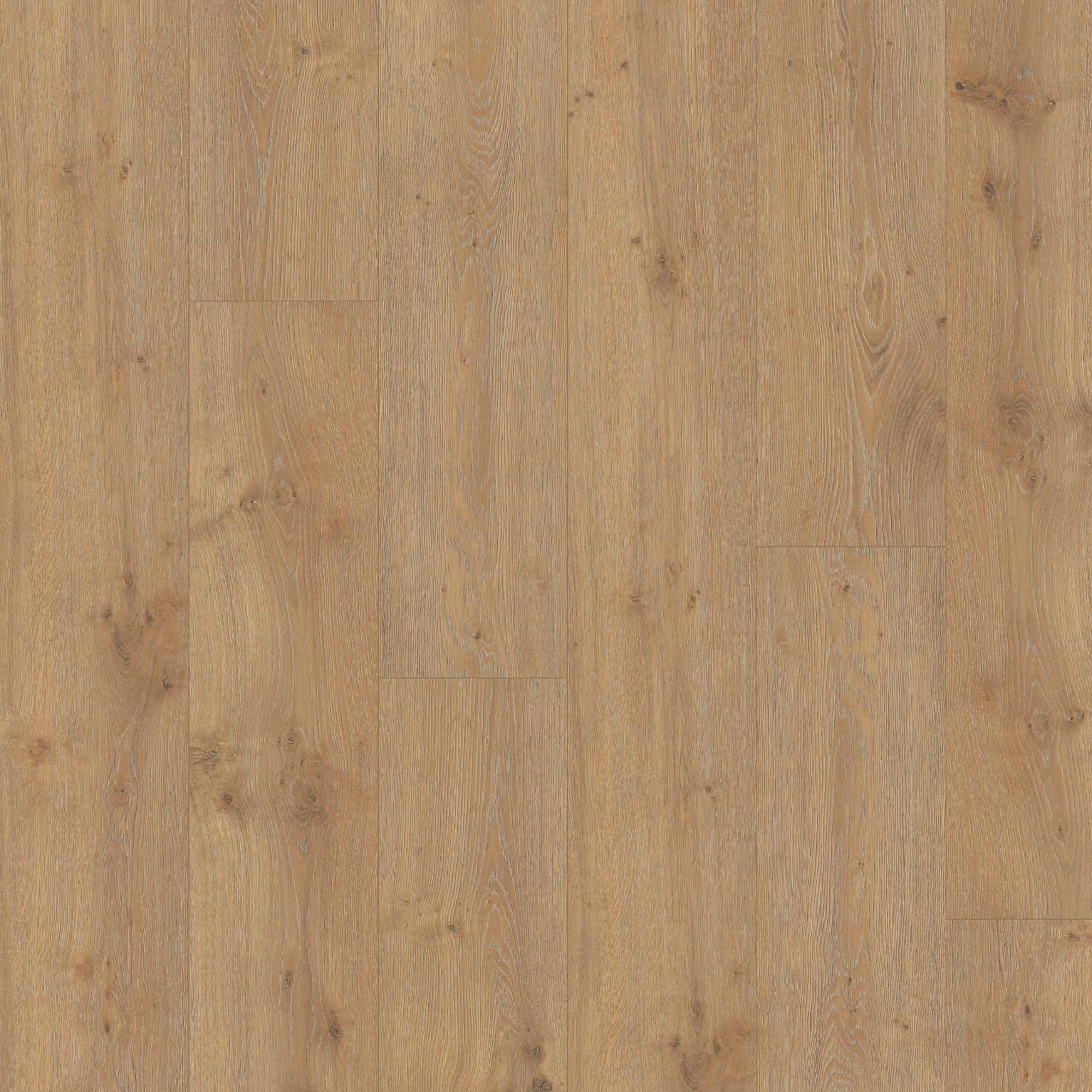 Meister  LL 250 Eik Dakar 6385