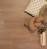 Douwes Dekker   Brede plank Olijf