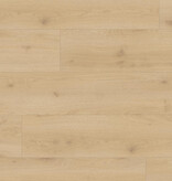 Douwes Dekker  Brede plank Chili