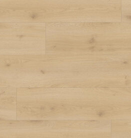 Douwes Dekker  Brede plank Chili