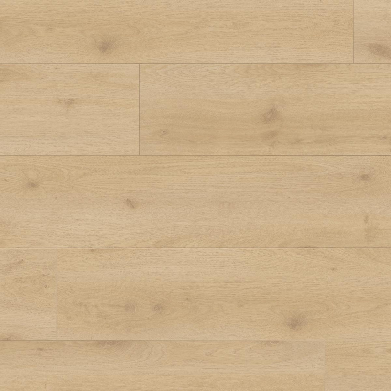 Douwes Dekker  Brede plank Chili