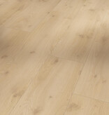 Douwes Dekker  Brede plank Chili