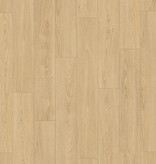 Douwes Dekker  Brede plank Truffel