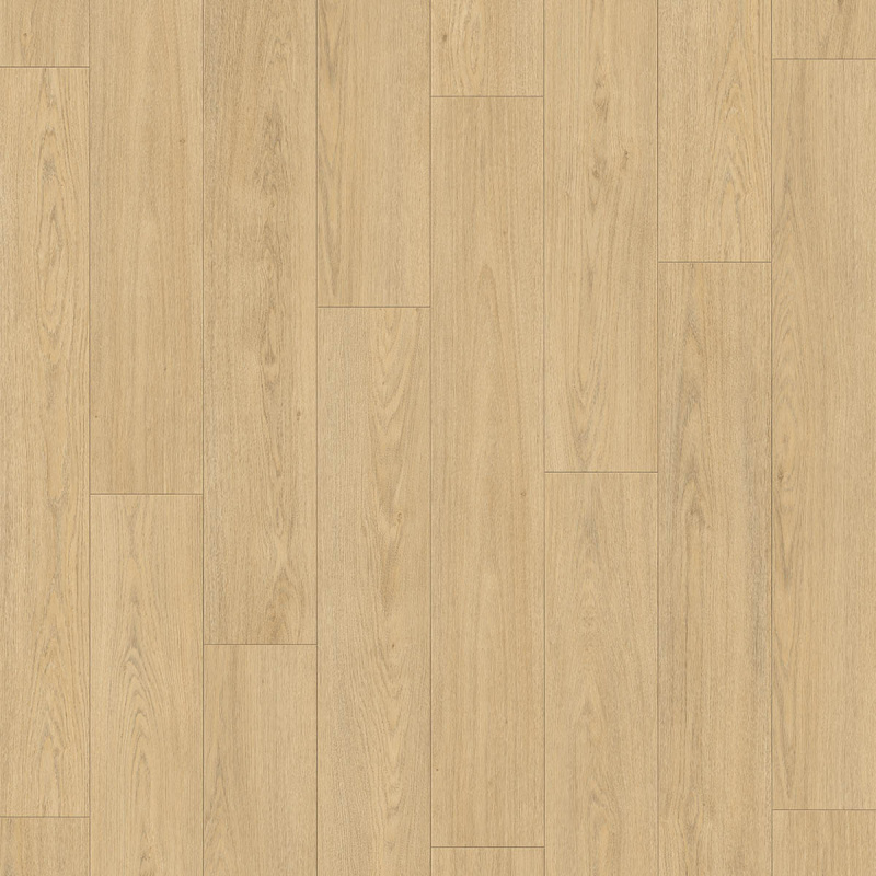 Douwes Dekker  Brede plank Truffel