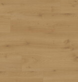 Douwes Dekker  Brede plank Balsamico