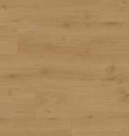 Douwes Dekker  Brede plank Balsamico