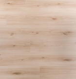 Douwes Dekker  Plank Cajun