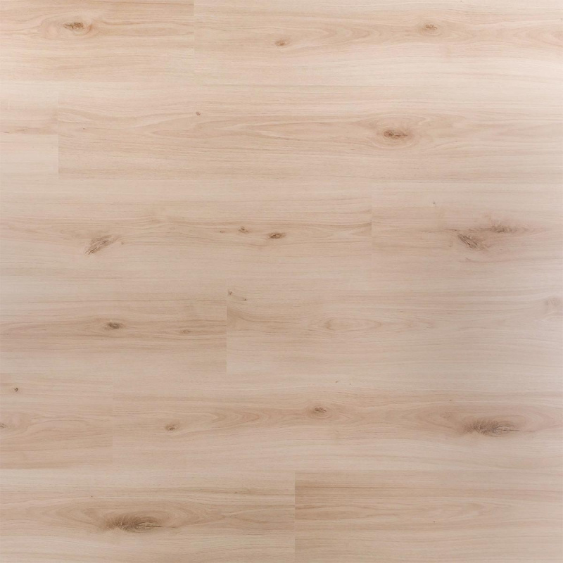 Douwes Dekker  Plank Cajun