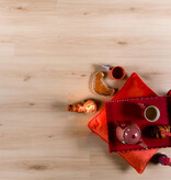 Douwes Dekker  Plank Cajun