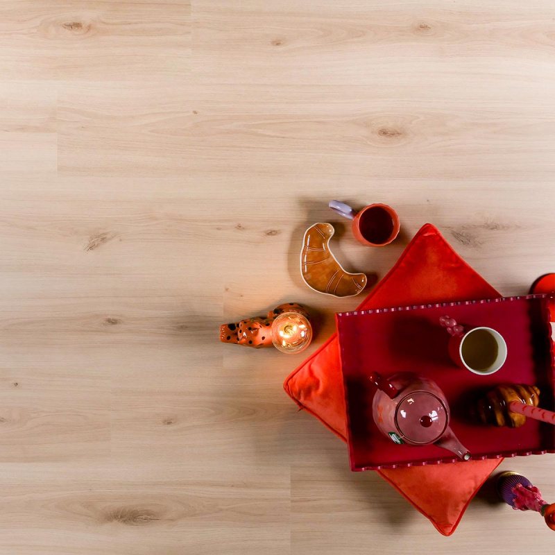 Douwes Dekker  Plank Cajun