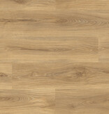 Douwes Dekker  Plank Wasabi