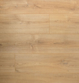 Douwes Dekker  lange plank Basilicum 8 mm