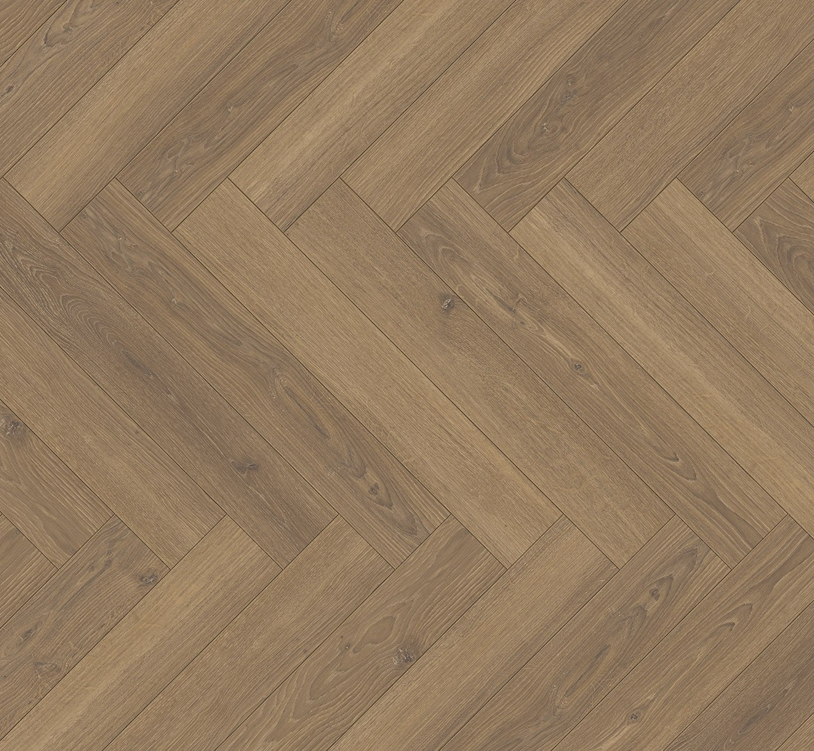 Laminaat 8mm visgraat Oak Studioline honey natural