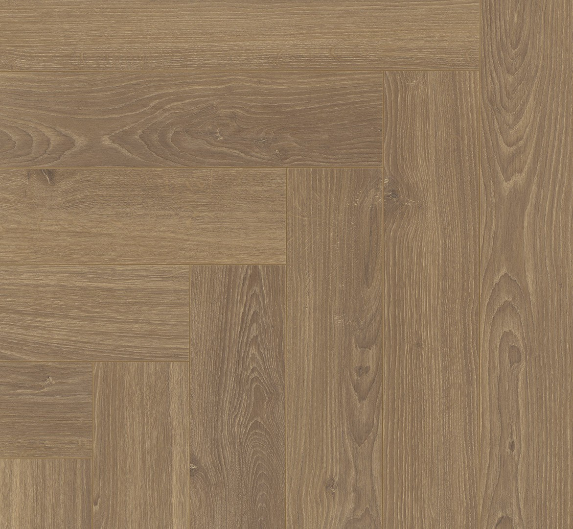 Laminaat 8mm visgraat Oak Studioline honey natural