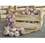Franse gevlochten Knoflook strengen