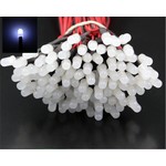 5mm Pre Wired Led White Diffused Cold White