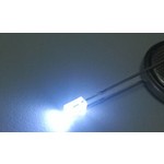 2x5x7mm Led Helder Koud Wit