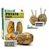 Potato Clock/Aardappel Klok