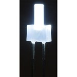 2mm Led Flat Top Diffuus Koud Wit