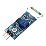 Dry Reed Sensor Module Magnetic Control Switch