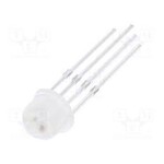 Worldsemi 5mm Straw Hat Led WS2812D-F5 RGB Programmable