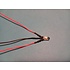 5mm Pre Wired Bi-color LED Common Anode Red/Blue