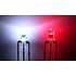 3mm Round LED Clear Bi-color Common Anode Red/Cold White