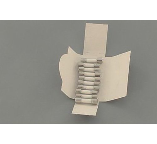 Agpo/Ferroli Glaszekering zandgevuld 3,15A 10 stuks 3286098
