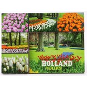 Typisch Hollands Magneet - de Keukenhof - Tulpenveldjes