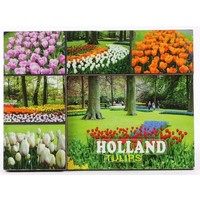 Typisch Hollands Magnet - Keukenhof - Tulpen