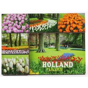 Typisch Hollands Magneet - de Keukenhof - Tulpenveldjes