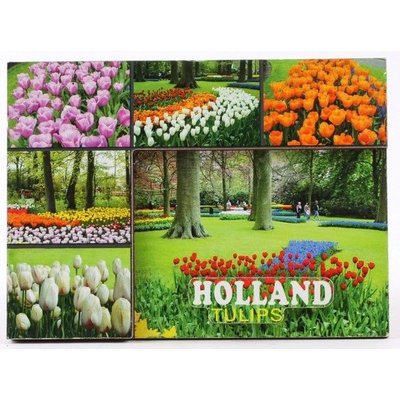 Typisch Hollands Magneet - de Keukenhof - Tulpenveldjes