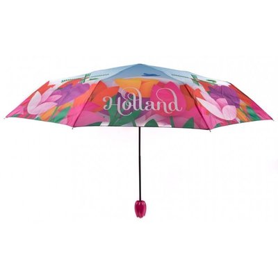 Typisch Hollands Regenschirm Tulpen - Holland