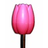 Typisch Hollands Umbrella Tulips - Holland