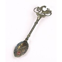 Matix Teaspoon in Bicycle Cassette - Typically Dutch