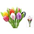 Typisch Hollands Houten Tulpen Mix Boeket