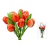 Typisch Hollands Wooden Tulips