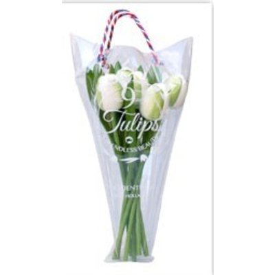 Typisch Hollands Wooden Tulips