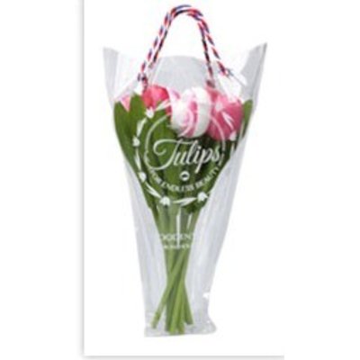 Nijhuis  Houten Tulpen