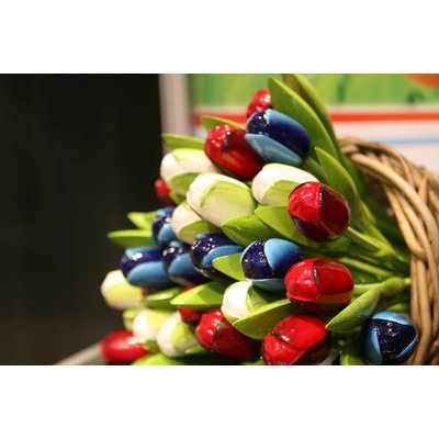 Typisch Hollands Houten Tulpen
