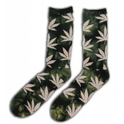 Holland sokken Men - Socks with Cannabis Leaves