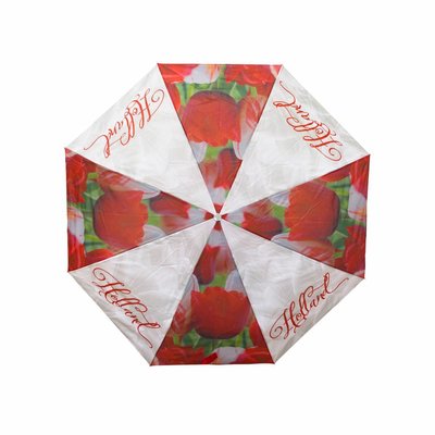 Typisch Hollands paraplu Holland tulpen compilatie