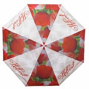 Matix paraplu Holland tulpen compilatie