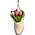 Typisch Hollands Clog Plant Hanger filled with wooden Tulips (renewed)