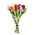 Nijhuis  Holztulpen (20 cm) in einem gemischten Strauß.