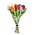 Typisch Hollands Wooden Tulips (20cm) in MIX bouquet.