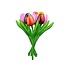 Typisch Hollands Houten Tulpen in MIX boeket.