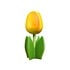 Nijhuis  Houten tulp op voet 14 cm - Geel Orange