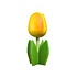 Nijhuis  Wooden tulip on base 14 cm - Yellow Orange